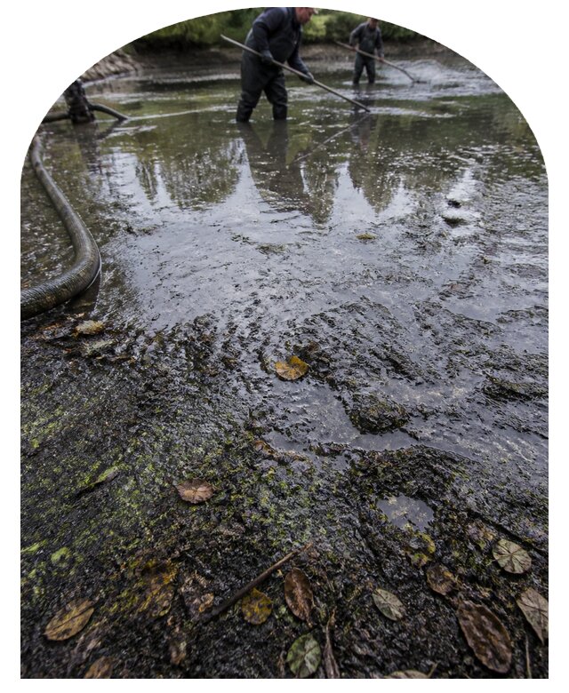 Очистка пруда в Мытищах от ила мусора и водорослей с вывозом